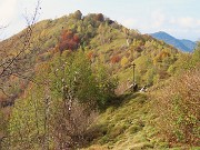 52 Smaglianti i caldi colori autunnali della cima del Costone